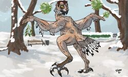 absurd_res ambiguous_gender animal_genitalia avian beak bird bodily_fluids body_horror bubo_(genus) cloaca feather_growth feathers genital_fluids genitals growth hi_res human_to_feral looking_back mid_transformation mistletoe open_mouth owl plant silvergriffin21 snow snowy_owl solo species_transformation transformation true_owl white_body white_feathers