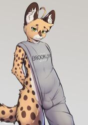 absurd_res ahoge anthro arch_(thelonearch) big_ears brooklyn_sweater brown_body brown_fur bulge bulge_through_clothing circle_eyebrows clothing countershading crossdressing crossdressing_(mtf) crossdressing_male ear_markings eye_markings eyebrows felid feline femboy from_front_position fur gay gay_male green_eyes grey_clothing hair hands_behind_back head_tuft hi_res homosexual homosexual_male inner_ear_fluff logo_on_clothing looking_at_viewer male male_penetrated mammal markings serval shaded simple_background solo solo_male spots spotted_body spotted_fur sweater tail tan_body tan_fur thelonearch topwear tuft yellow_body yellow_fur