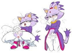 blaze the cat from sonic (series) by ryukman