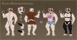 2022 ankle_tuft anthro arm_tuft black_nose black_pawpads black_penis bottomwear brown_body brown_fur calf_tuft canid canine canis chest_harness chest_tuft claws clothing collar crop_top denim denim_bottomwear denim_clothing denim_shorts domestic_dog ear_piercing ear_stud elbow_tuft eyewear fur genitals glasses green_eyes gus_(itmeporps) harness hunting_dog interkos jack_russell_terrier leather leather_bottomwear leather_clothing leather_pants leg_tuft male mammal model_sheet nipples pants pawpads penis piercing pink_nipples pubes shirt shorts smile solo terrier topwear tuft wearing_glasses white_body white_claws white_fur