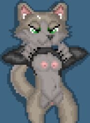 anthro breasts canid canine canis clothed clothing digital_media_(artwork) female feral fur green_eyes mammal nipples pixel_(artwork) raised_clothing simple_background solo the_shen wolf