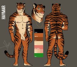 2020 anthro balls bgn felid genitals haymar humanoid_genitalia humanoid_penis male male_only mammal model_sheet nude pantherine penis plantigrade simple_background solo standing stripes tiger