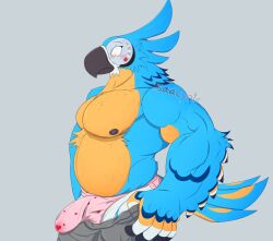 absurd_res anthro avian beak belly big_bulge bird blue_body blue_feathers blush bodily_fluids bodily_fluids_on_underwear breath_of_the_wild bulge chest_tuft clothing detailed_bulge feathered_tail feathers genital_outline hi_res huge_bulge isaacyote_(artist) jockstrap kass_(tloz) kass_(zelda) male male_only meme muscle_tone musclegut muscular muscular_anthro muscular_male nintendo nipples pecs penis_outline pulling_up_pants rito shocked_expression solo standing tail the_legend_of_zelda tuft underwear wet wet_clothing wet_underwear white_body white_feathers wings yellow_body yellow_feathers