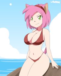 1girls amy_rose arm_support beach big_breasts bikini busty female female_only green_eyes human humanized legs lirudraw looking_at_viewer navel ocean pink_hair red_bikini sega short_hair smile solo sonic_(series) swimsuit thighs voluptuous water