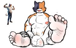2023 5_toes abs anthro areola balls biceps black_body black_fur body_hair calico_cat digital_media_(artwork) domestic_cat epic_games feet felid feline felis flaccid foot_fetish foot_focus foreskin fortnite fur genitals hairy_balls hi_res humanoid_feet humanoid_genitalia humanoid_penis male mammal meowscles meowscles_(fortnite) nipples one_eye_closed open_mouth open_smile orange_body orange_fur pecs penis plantigrade pubes reference_image simple_background smile soles solo solo_male sscheese toes uncircumcised unretracted_foreskin white_background wink