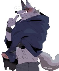 anthro bottomwear canid canine canis claws cloak clothing covered_penis death_(puss_in_boots) erection hi_res hyaku_(artist) male male_only mammal pants red_eyes solo wolf wristband