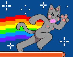 >_< >w< 1girls arm_up feline female female_only fur furry gray_body gray_fur maypul_syrup naked nipples nude nyan_cat nyan_cat:_lost_in_space pop-tarts poptart rainbow running sausage solo