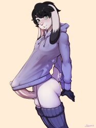 anthro ass black_hair bottomless bottomless_male bunnyadmirer clothed clothing erection genitals girly green_eyes hair hi_res hoodie lagomorph legwear leporid male mammal penis rabbit solo tail thigh_highs topwear yildunstar