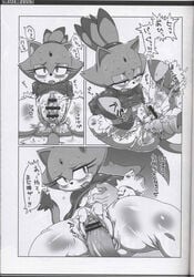blaze the cat from ore no fuyu 2009 by nezumi