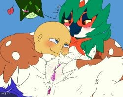 decidueye from nintendo by birdofanatic