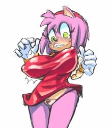 amy rose from sega by box chan