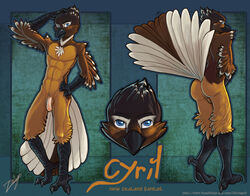 abs anthro ass avian balls blue_eyes claws flaccid furry looking_back male male_only model_sheet no_humans no_nipples nude penis pose raised_tail solo voyd zhivagod