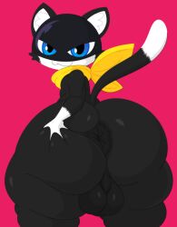 1boy absurd_res animal_ears anthro anus ass ass_grab atlus balls big_anus big_ass big_balls big_butt big_testicles black_body black_pupils blue_eyes bottom_heavy butt_grab cat_ears cat_tail dipstick_tail domestic_cat ekkokenight felid feline felis femboy fur furry furry_only genitals girly gloves_(marking) hand_on_ass hand_on_butt hi_res huge_ass huge_butt huge_hips huge_thighs inner_ear_fluff looking_at_viewer male mammal markings mask megami_tensei megami_tensei_persona morgana_(persona) neckerchief nude nude_male perineum persona persona_5 pink_background presenting presenting_anus presenting_hindquarters pupils raised_tail rear_view sega simple_background smile solo spread_ass spread_butt spreading standing tail tail_markings taint teapot_(body_type) testicles thick_thighs tuft wide_hips