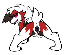 animal_genitalia animal_pussy anus ass canid canine canine_genitalia canine_pussy female generation_7_pokemon genitals hi_res lycanroc mammal midnight_lycanroc nintendo pokemon pokemon_(species) presenting presenting_hindquarters pussy solo tongue trout_(artist)