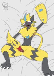 absurd_res anthro bed bodily_fluids digital_drawing_(artwork) digital_media_(artwork) female fur furniture generation_7_pokemon genitals hi_res legendary_pokemon lying masturbation nintendo on_bed pokemon pokemon_(species) pussy ronai_fox sex_toy simple_background smile solo toying_self yellow_body yellow_fur zeraora