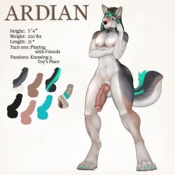 1:1 2023 anthro areola balls canid canine claws digital_media_(artwork) draco32588 english_text fasttrack37d fingers fur genitals hair hi_res male_only mammal model_sheet multicolored_body nipples penis simple_background solo text toe_claws vein