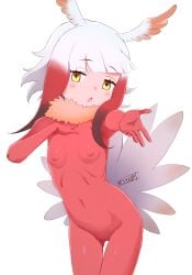 bird_tail blunt_bangs blush breasts brown_eyes commentary female fur_collar gradient_hair hand_on_own_chest head_wings highres japanese_crested_ibis_(kemono_friends) kemono_friends long_hair looking_at_viewer masuyama_ryou multicolored_hair navel nipples open_mouth outstretched_arm pussy red_bodystocking red_hair simple_background small_breasts solo tail thigh_gap white_background white_hair yellow_eyes