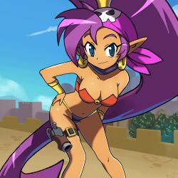pirate shantae from shantae