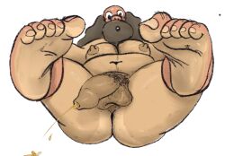 Ass Rule 34 Image
