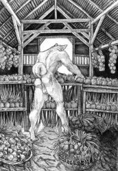 2023 absurd_res anthro ass back_muscles backsack balls canid canine canis casual_exposure casual_nudity digitigrade farm farmer food genitals hi_res male mammal momamo muscular muscular_anthro muscular_male nude onion plant public public_nudity solo tail_curl traditional_media_(artwork) vegetable