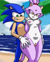 animated anthro blaze_the_cat breasts clitoral clitoris clothing duo erection eulipotyphlan felid feline female fur genitals gif gloves handwear hedgehog male male/female mammal medium_breasts naked nipples nude oni_senpai oni_senpai_art penis pussy sega sex smile sonic_(series) sonic_the_hedgehog sonic_the_hedgehog_(series) thigh_sex