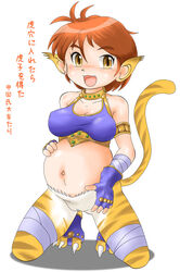 breath_of_fire breath_of_fire_ii clothing katt pregnant tagme translation_request