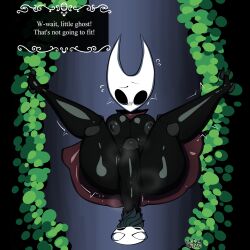 anthro hollow_knight hornet_(hollow_knight) huge_cock incest kaijusundae overhead_view protagonist_(hollow_knight) small_but_hung tagme team_cherry worried