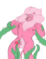 2015 anthro anthrofied balls biped blush body_hair cartoon_network clenched_teeth digital_media_(artwork) felid fur genitals happy_trail heart heart_nose hickeybickeyboo humanoid_genitalia humanoid_penis lion lion_(steven_universe) male male_focus male_only mammal mane muscular muscular_anthro muscular_male navel pantherine pecs penis pink_body pink_fur pink_mane pubes sex sharp_teeth simple_background solo solo_male steven_universe teeth tentacle tentacle_sex tentacles_on_male white_background