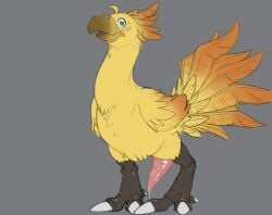 avian beak benji_(artist) blush bodily_fluids chocobo erection feathers feral final_fantasy genitals male male_only penis solo square_enix sweat talons