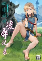 link from breath of the wild