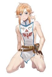 link from breath of the wild
