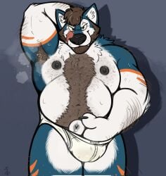 anthro canid canine canis clothed clothing domestic_dog hi_res husky male mammal musclegut musky_armpit nordic_sled_dog revealing_penis skippysbonezone slightly_chubby solo solo_focus spitz underwear underwear_only