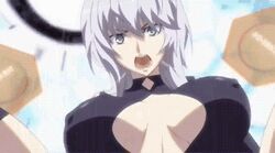 3girls alexander_nikolaevich_hell alexander_nikolaevich_hell_(female) animated bouncing_breasts breasts female hoods_entertainment large_breasts lowres male nipples rule_63 sasha seikon_no_qwaser