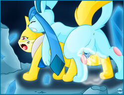 ambiguous_gender buizel cum eeveelution generation_4_pokemon glaceon male male_glaceon nintendo pokemon pokemon_(species) sex shiny unknown_artist