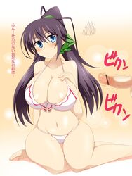 bikini blush breasts censored cleavage highres infinite_stratos large_breasts penis shinonono_houki swimsuit wedge