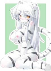 animal_ears blush breasts brown_eyes cat_ears cat_tail catgirl female furry kourourin large_breasts long_hair nipples nude original solo tail white_tiger yellow_eyes