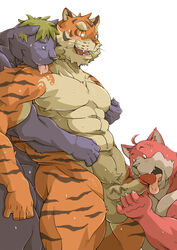 anthro dandoo feline from_behind fur furry licking male male_only muscles oral penis threesome tiger tongue uncensored yaoi