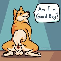 anus asking asking_another ass balls canid canine canis crouching curled_tail detailed_background digital_media_(artwork) domestic_dog english_text feral fluffy fluffy_tail fur genitals good_boy haku_(hdoge) hdoge_(artist) inside looking_back male mammal orange_body orange_fur paws presenting presenting_anus presenting_hindquarters rear_view red_eyes shiba_inu smile solo spitz tail text yes-no_question