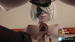 2futas 3d animated blindfold breasts dickgirl duo erection futa_only futanari handjob intersex mp4 nier:_automata penis rosema98833390 sound tagme video white_hair yorha_2b