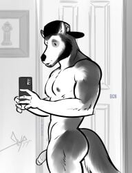 anthro backwards_hat bgn canid canine canis cellphone clothing flaccid fur genitals hat headgear headwear hi_res holding_object male male_focus male_only mammal nipples nude penis phone selfie solo tail wolf