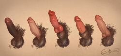 anatomically_correct_genitalia anatomically_correct_penis animal_genitalia animal_penis anthro anthro_only balls canine canine_genitalia canine_penis canis dick furry furry_penis genitals humanoid_genitalia humanoid_penis knot knotted_penis penis s_anima werecanine werewolf wolf