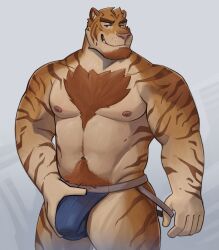 2023 abs anthro bedroom_eyes biceps blue_clothing blue_jockstrap blue_underwear body_hair bulge chest_hair clothed clothing deltoids detailed_bulge facial_hair felid genital_outline goatee grin happy_trail hi_res holding_bulge jockstrap jockstrap_only looking_at_viewer male mammal manly musclegut muscular muscular_thighs narrowed_eyes navel nipples obliques pantherine pecs penis_outline pubes seductive simple_background smile solo standing tiger topless triceps underwear underwear_only zcdartz