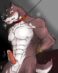 2013 abs anthro balls biceps canine closed_eyes cum erection fur hentist hideo_katashi_(character) male male_only muscles nude orgasm pecs penis pose solo wolf