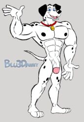 101_dalmatians 2015 big_muscles blu3danny blue_eyes canine collar dalmatian disney flaccid male male_only mammal muscles nude penis pongo presenting solo spots toony vein