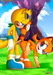 bbmbbf erection furry marine_the_raccoon mobius_unleashed outdoors palcomix ray_the_flying_squirrel sonic_(series) sonic_the_hedgehog_(series)