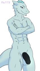 anthro black_penis blue_eyes crossed_arms farrythedragon genitals hi_res kane_decobray male mature_male muscular muscular_anthro muscular_male nude penis sergal solo