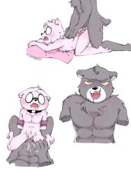 2023 anal anthro bear blush duo erection eyewear genitals glasses hi_res hikariwolfdraw male male/male mammal muscular muscular_male padre_(unicorn_wars) penis sargento_caricias sex unicorn_wars