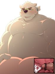 2023 absurd_res anthro bear belly big_belly blush bodily_fluids censored cum duo ejaculation eyewear genital_fluids genitals glasses hayatohalada hi_res kemono leib_(tas) lifewonders male mammal moobs overweight overweight_male penis polar_bear solo_focus tokyo_afterschool_summoners ursine