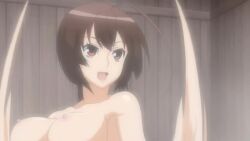 female medium_breasts screencap sekirei tagme