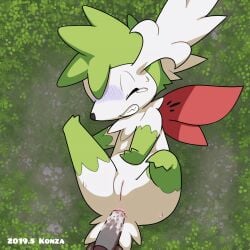 anal anal_sex animated cum cum_in_ass cum_inside disembodied_penis female feral feral_penetrated grey_penis huge_filesize male/female male_penetrating_female motion_tweening pokémon_(species) pokemon pokemon_(species) pokephilia shaymin shaymin_(sky_form) tagme upscaled